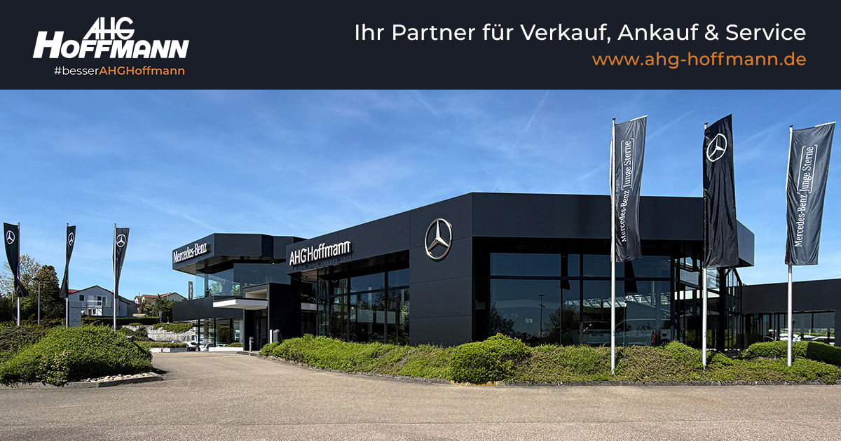 Ahg Hoffmann Gmbh & Co Kg