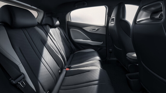 Sitze im BYD DOLPHIN SURF